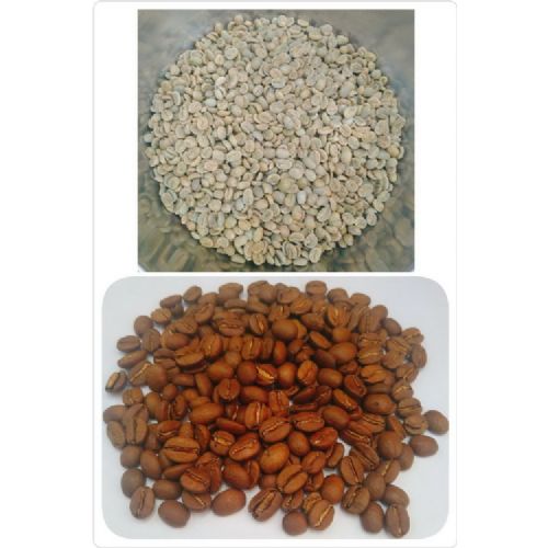 Gayo 曼特寧有機 G1 兩次手選